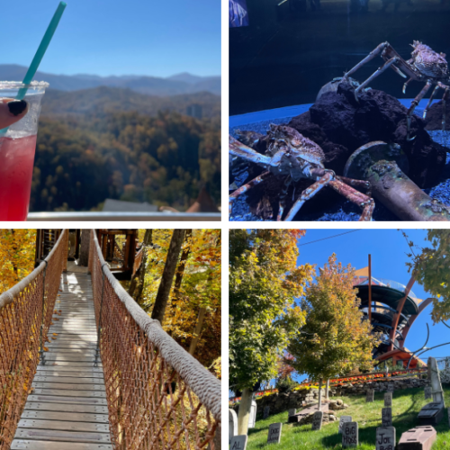 best things to do in gatlinburg in november