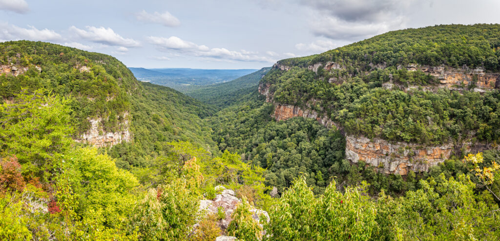 View of Cloudland Canyon State Park south of Lookout Mountain, Georgia near Chattanooga, Tennessee.